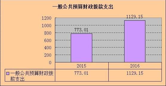 預算管理措施及成效(預算管理 績效管理)