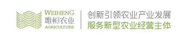 財(cái)務(wù)報(bào)表有哪幾個(gè)表(財(cái)務(wù)稽核報(bào)表)(圖5)