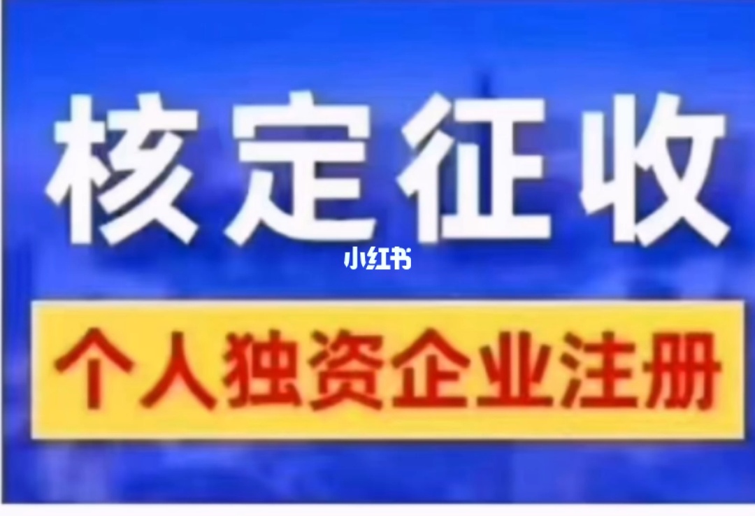 個人獨資企業(yè)的稅收籌劃(個人獨資 企業(yè)非法人)