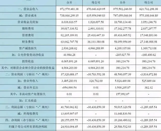 財務(wù)報表分析論文(財務(wù)管理公司分析論文)