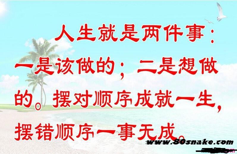 境外上市和境內(nèi)上市的區(qū)別(中華人民共和國境外非政府組織境內(nèi)活動(dòng)管理法)(圖3)