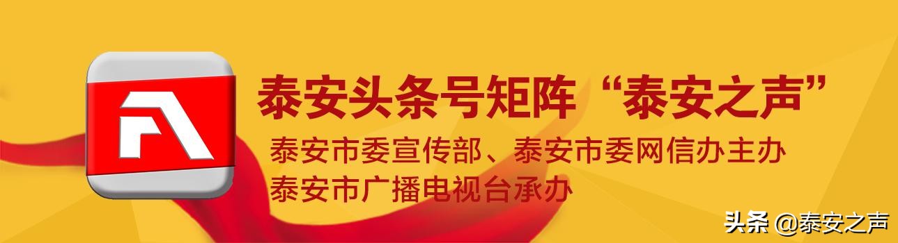 視頻|新泰市：百人稅務顧問團駐企解困保發(fā)展