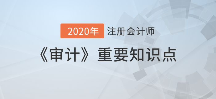 財(cái)務(wù)報(bào)表層次重大錯(cuò)報(bào)風(fēng)險(xiǎn)(報(bào)表層次 認(rèn)定層次)