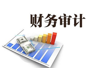 銀行常年財務(wù)顧問報告