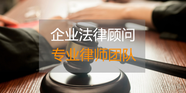 為政府提供常年財(cái)務(wù)顧問(為中小企業(yè)提供財(cái)務(wù)管理咨詢)