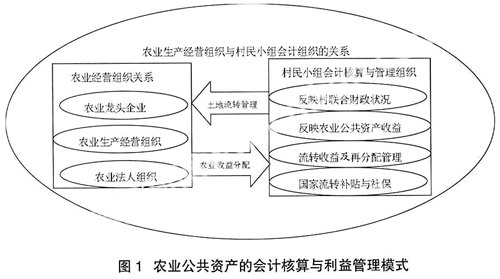 會計(jì)核算職能