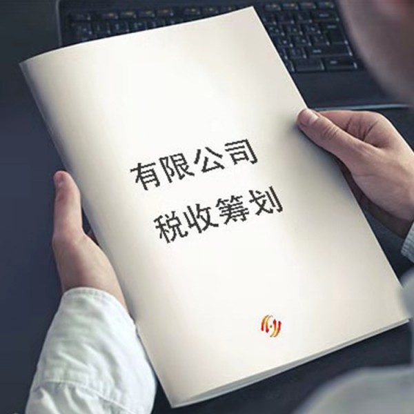 納稅籌劃方案設(shè)計(企業(yè)納稅籌劃方案設(shè)計： 理論與現(xiàn)實(shí)的沖突)